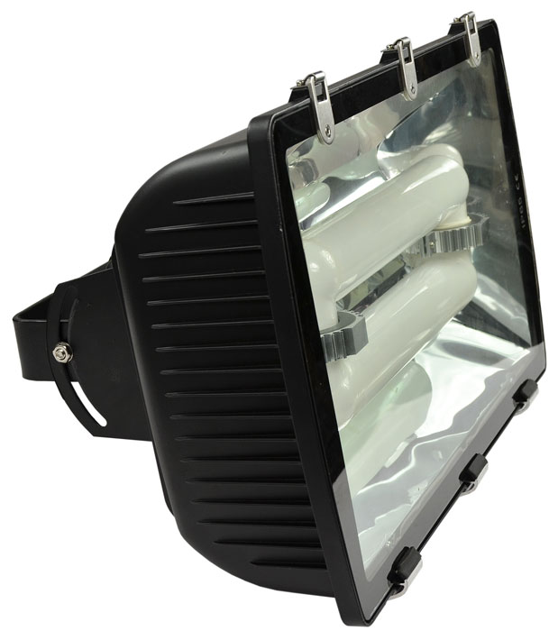 Induction Lamp Tunnel/flood Light 250w